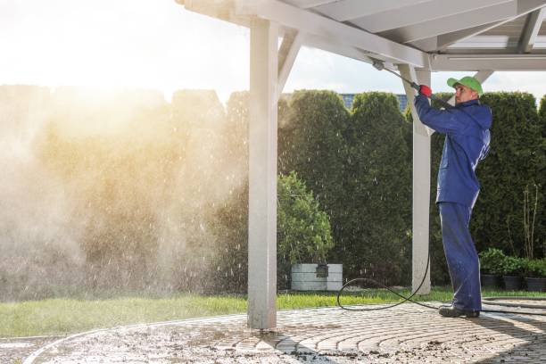 Best Rust Removal  in Osceola, WI
